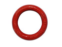 Forged Alloy Steel Lifting Ring