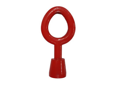 Lifting Ring